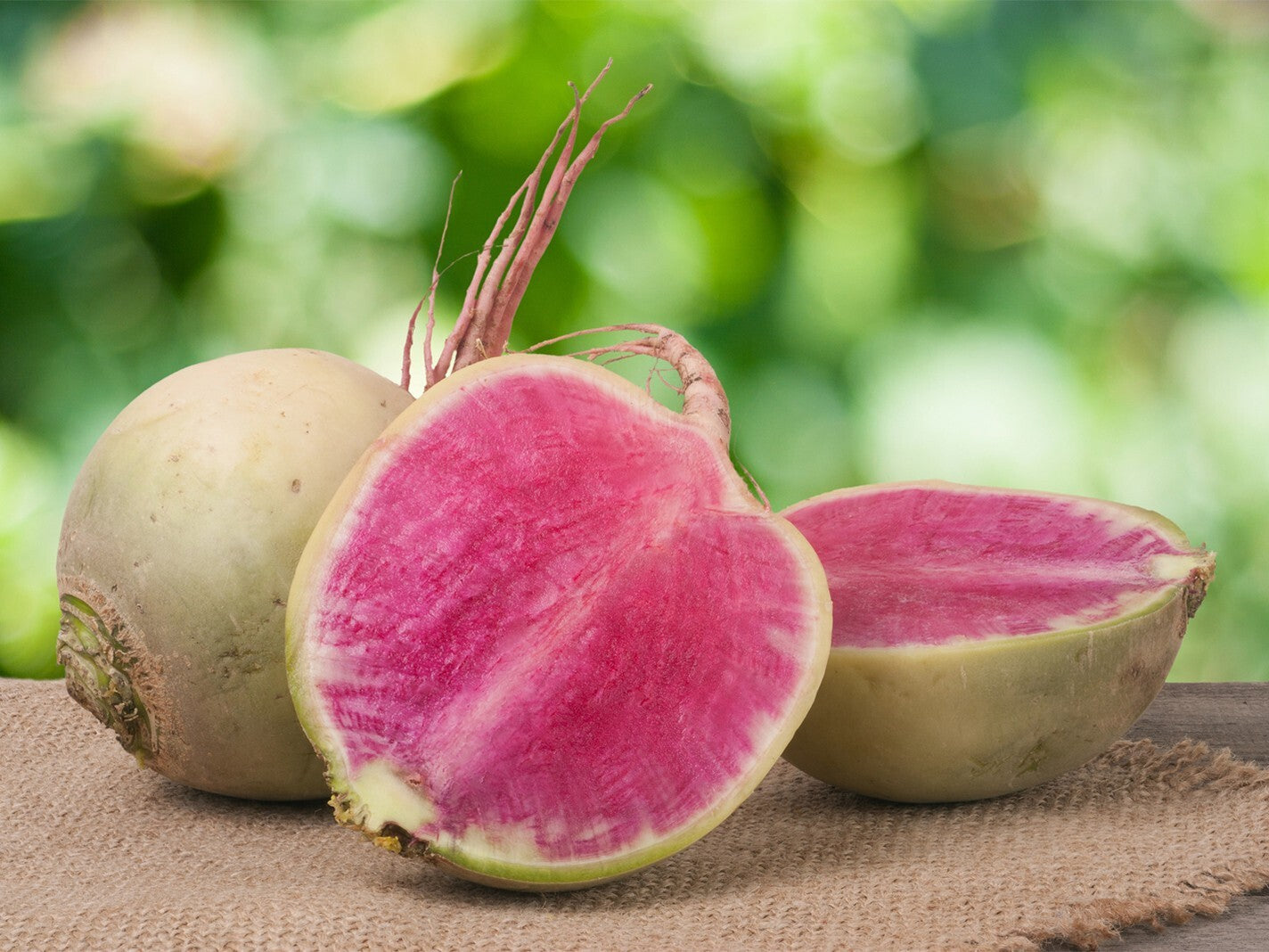 Watermelon Radish Seeds | Non-Gmo Vegetable Garden Seeds