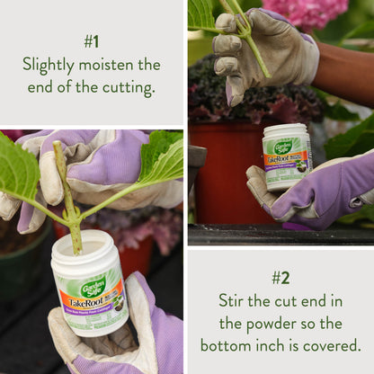 Take Root Rooting Hormone Powder, Grow New Plants from Cuttings, 2 Ounces