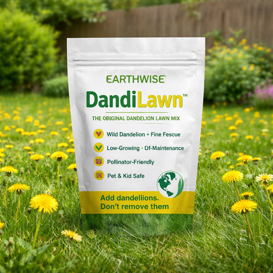 DandiLawn™ Dandelion Lawn Mix | Low-Growing, Pollinator-Friendly, No-Mow Lawn
