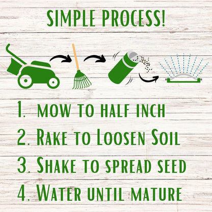 Bee Lawn Seed Kit - Easy Spread Shaker