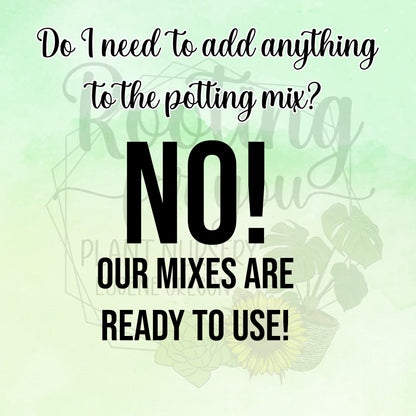 Cinnamon Tree Premium Potting Mix