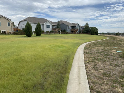 TrueGrass Native Grass Seed - The No Maintenance Native Lawn, Drought-Tolerant, Eco-Friendly Grass Blend