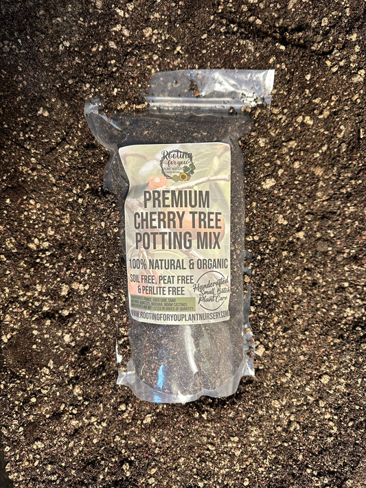 Cherry Tree Premium Potting Mix