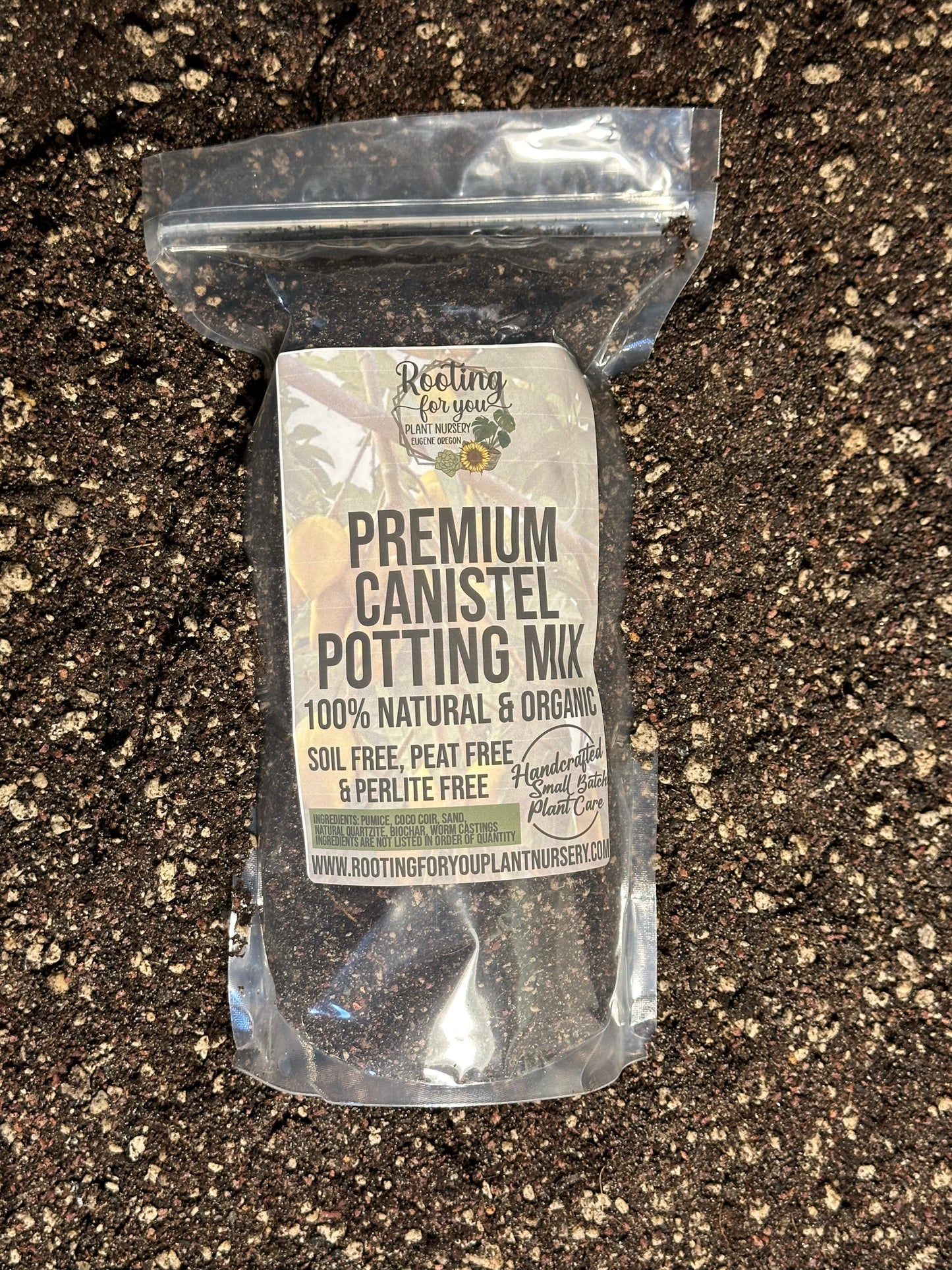 Canistel Eggfruit Premium Potting Mix