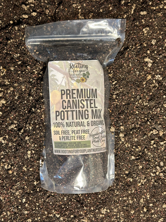 Canistel Eggfruit Premium Potting Mix