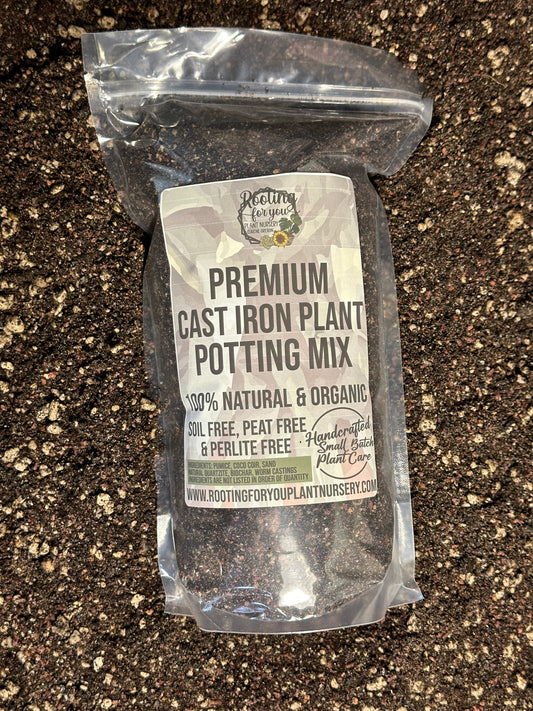 Cast Iron Plant Premium Potting Mix