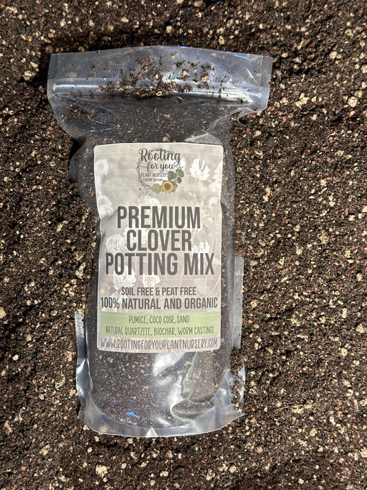 Clover Premium Potting Mix