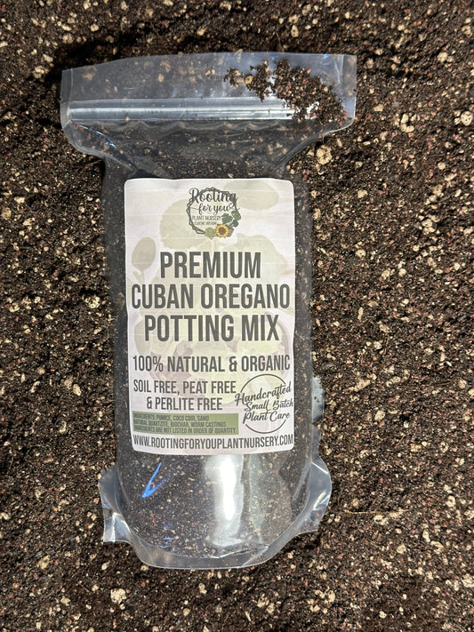 Cuban Oregano Premium Potting Mix