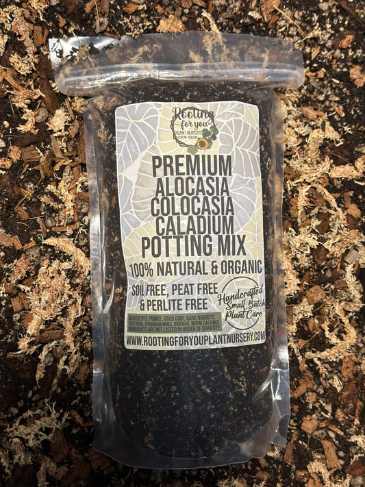 Alocasia - Colocasia - Caladium Premium Potting Mix