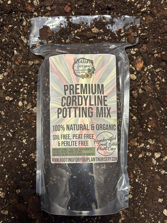 Cordyline Premium Potting Mix