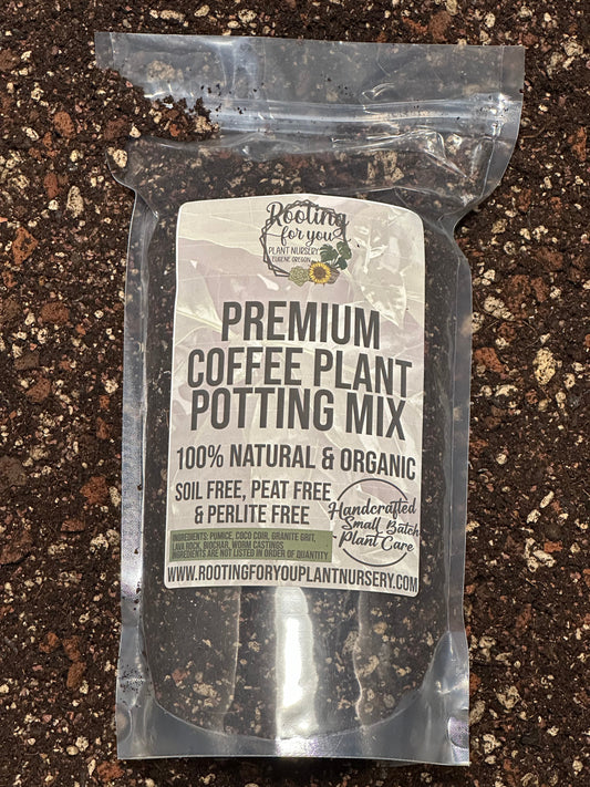 Coffee Plant Premium Potting Mix