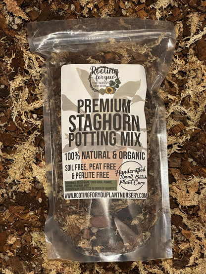 Staghorn Fern Premium Potting Mix