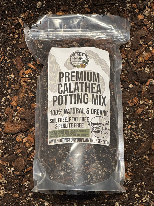 CALATHEA Premium Potting Mix