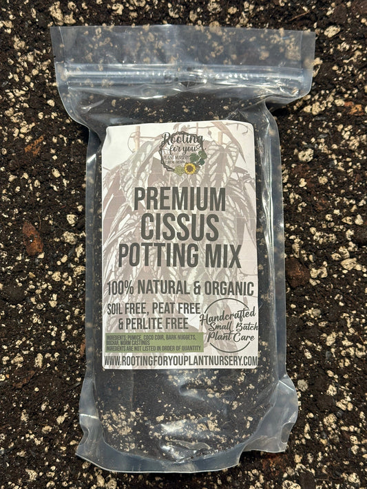 Cissus Premium Potting Mix