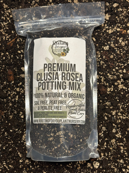 Clusia Rosea Premium Potting Mix