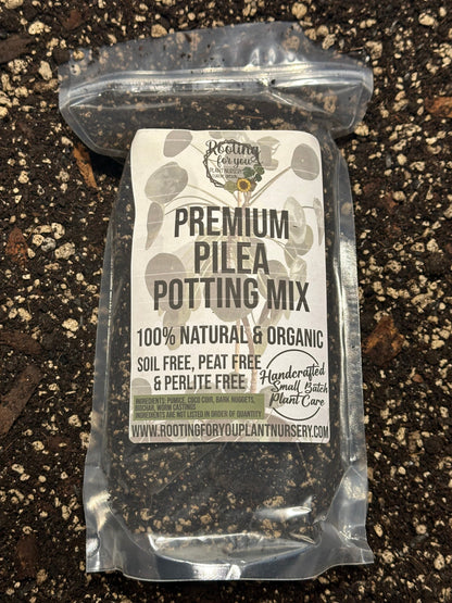 Pilea Premium Potting Mix