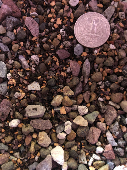 CACTUS & SUCCULENT Premium Potting Mix