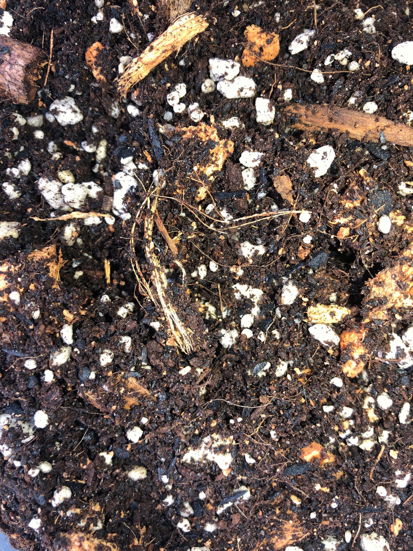 Monstera Premium Potting Mix