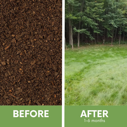 Premium Mow Less Grass Seed