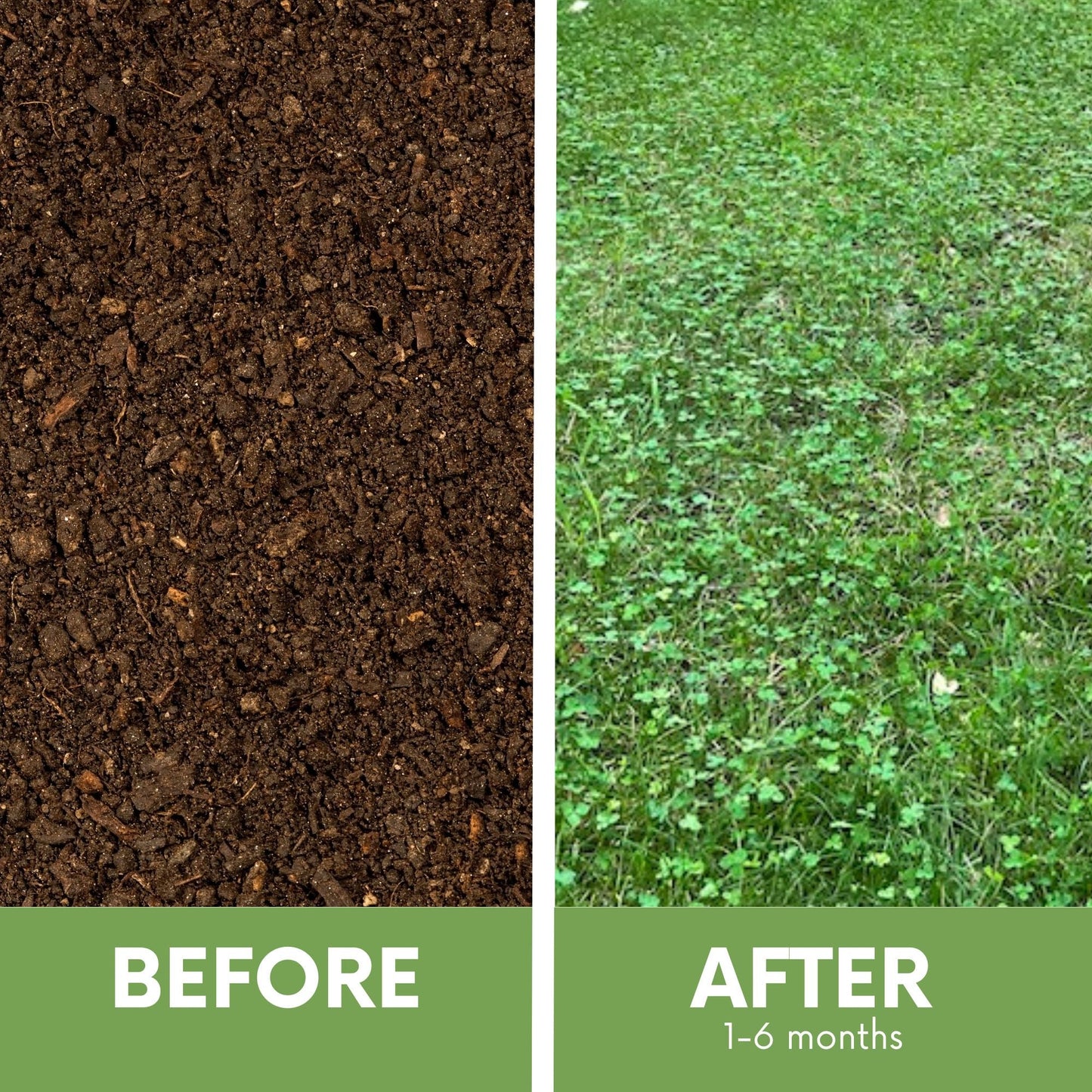 Micro Clover + Mow Less Grass Seed