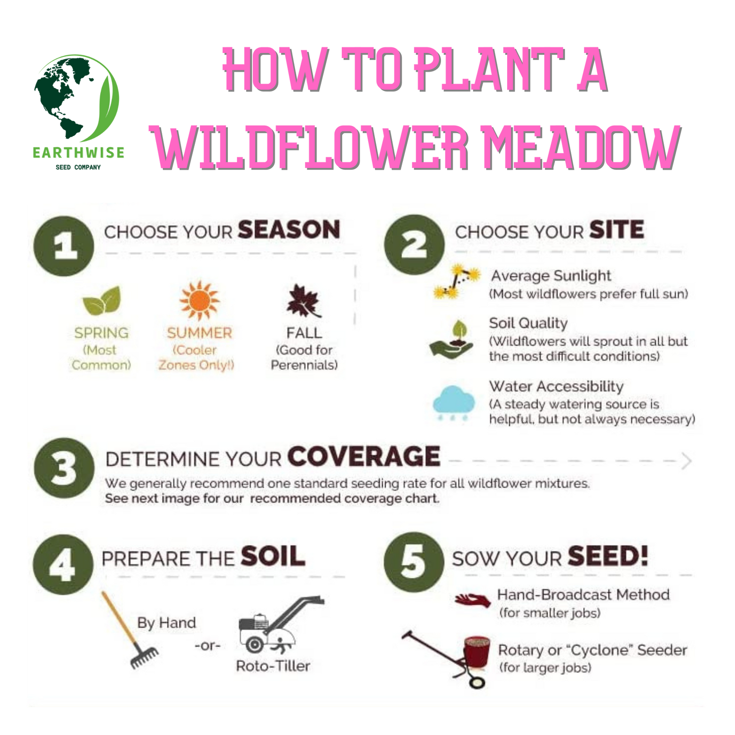 Knee High Wildflower Meadow Blend