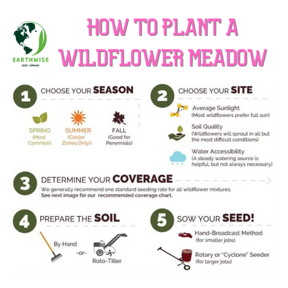 Knee High Wildflower Meadow Blend