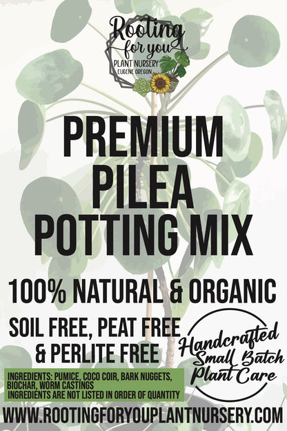 Pilea Premium Potting Mix