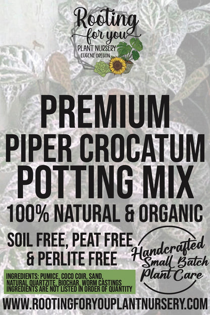 Piper Crocatum Premium Potting Mix
