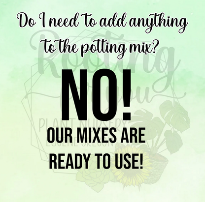 Daisy Premium Potting Mix