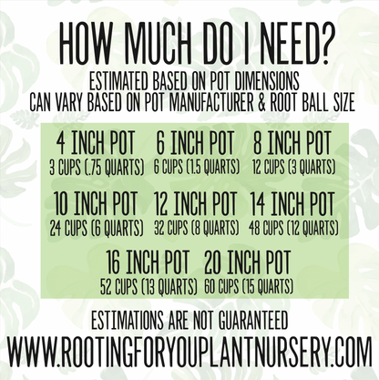 Thaumatophyllum Premium Potting Mix