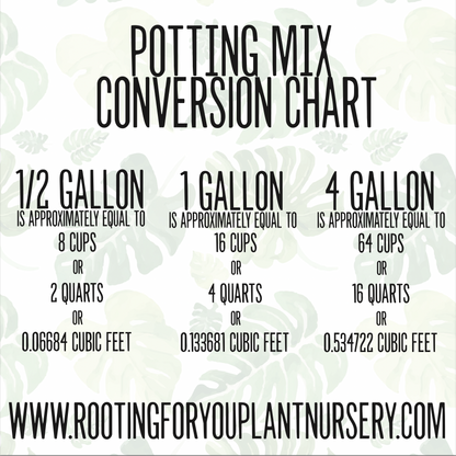 Pterisanthes Premium Potting Mix