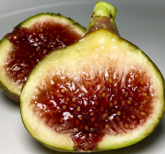 2 Smith Fig Tree Cuttings (6–8") – Fresh Unrooted Organic Cuttings from Fruiting Tree | Rare, Sweet Heirloom Variety for Propagation