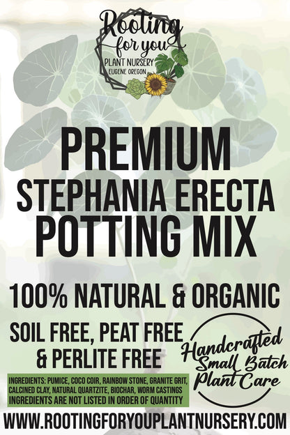 Stephania Erecta Premium Potting Mix