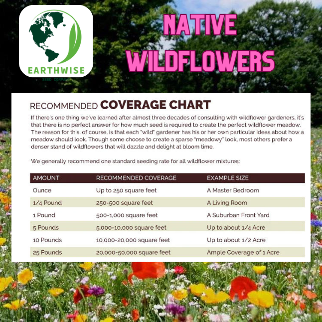 Midwest Native Wildflower Mix