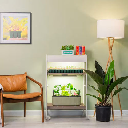 2 Tier Grow Light Garden, Plant Stand with Plant Shelf Rack with Wheels for Seed Starting, Indoor Plants Display