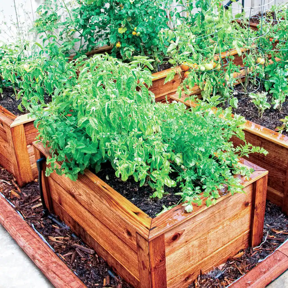 Raised Bed Garden Drip Irrigation Kit