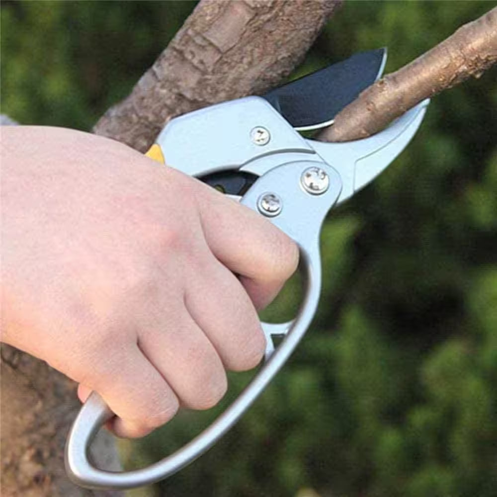 8 In. Hand Pruner, for Trimming Rose, Floral, Tree, Live Plants, Sharp Garden Scissors