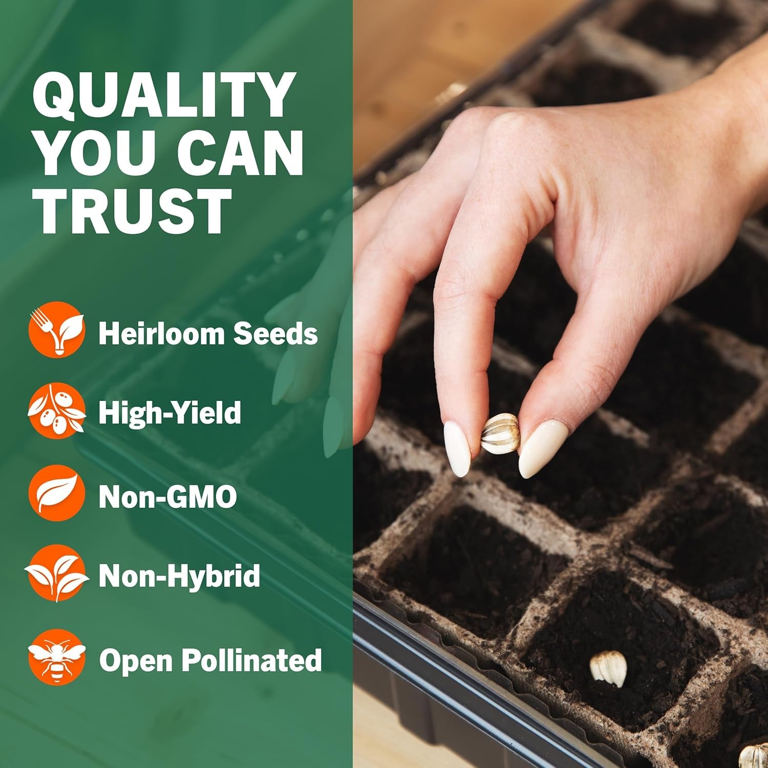 |15,000 Heirloom Seeds | 18 Seed Types | Survival Seeds | 2026 Season | Non GMO Vegetable and Fruit Seeds | Planting Outdoor & Indoor Garden