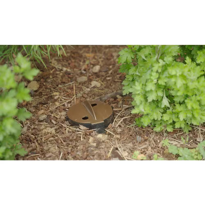 Adjustable Deep Root Watering System 9 In. - 22 In.