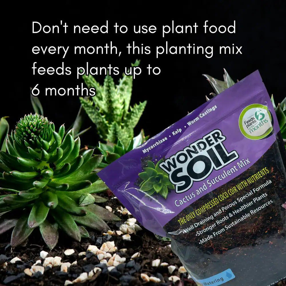 12 Qt. Premium Cactus and Succulent Expanding Potting Soil Mix