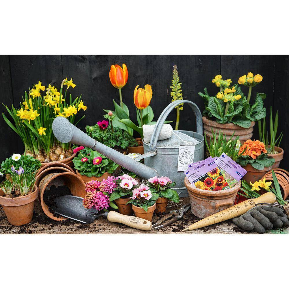 12 In. Wooden Dibber- Bulb Planter with Brass Tip