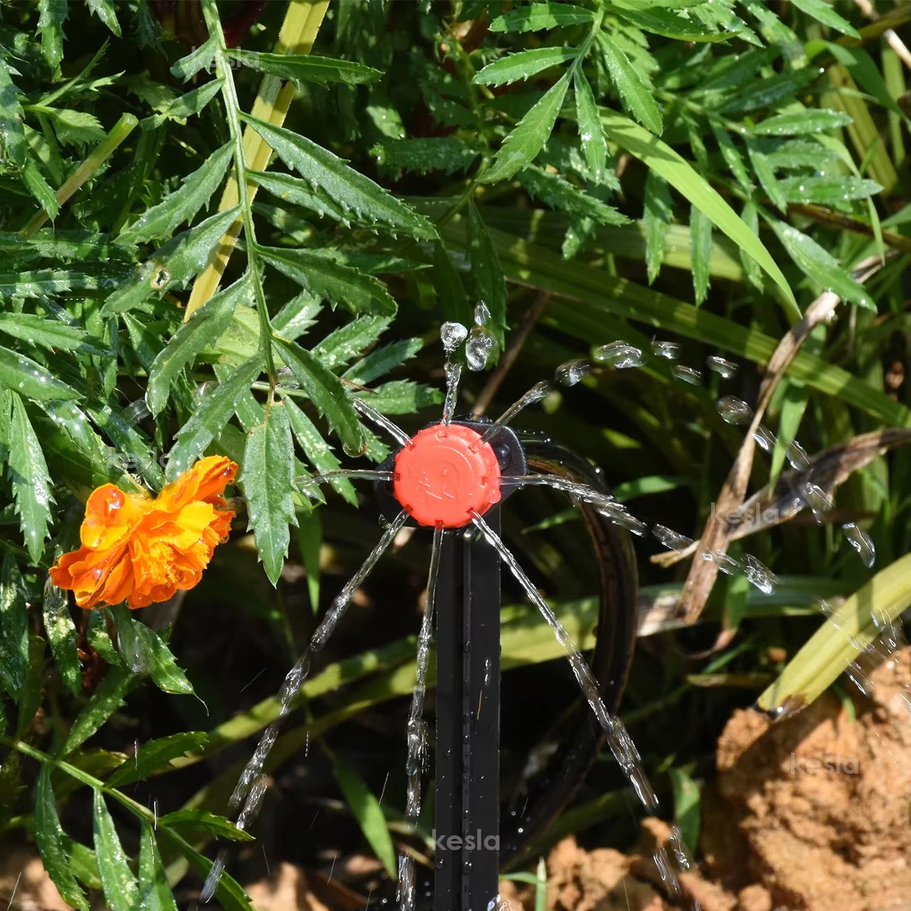 Garden Drip Irrigation Automatic Watering System Kit 1/4'' Nozzles for Bonsai Pot Plant Lawn Flower Vegetable Greenhouse