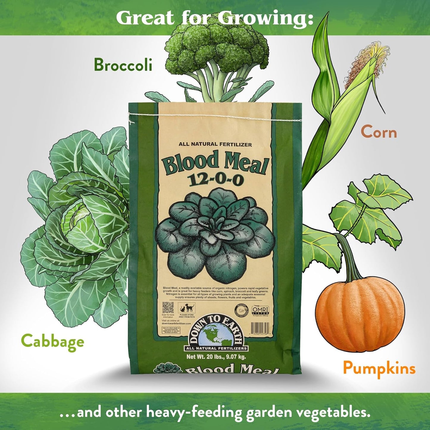 Organic Blood Meal - High Nitrogen Plant Food for Green Growth 12-0-0, 50 Lb