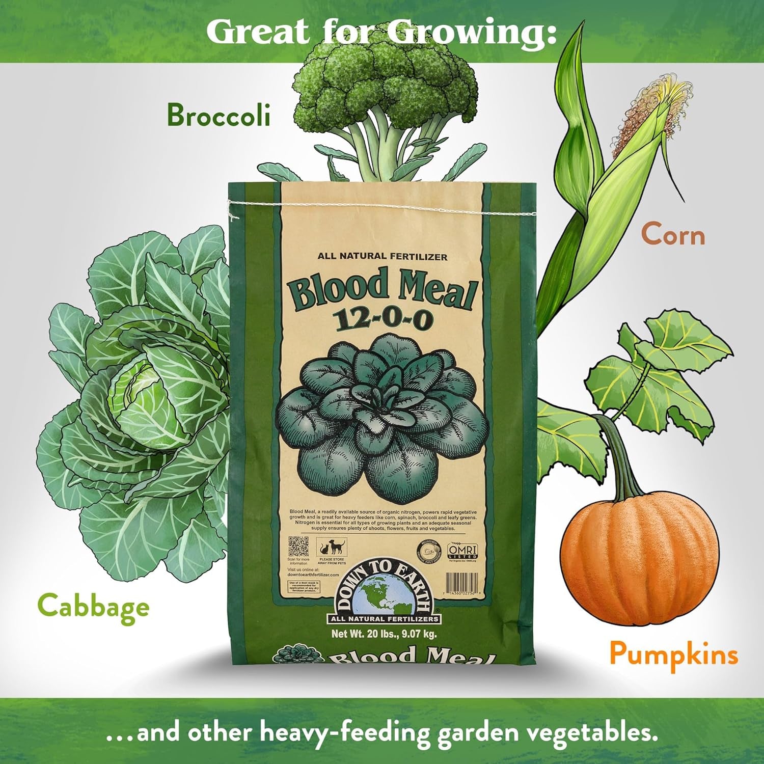 Organic Blood Meal - High Nitrogen Plant Food for Green Growth 12-0-0, 50 Lb