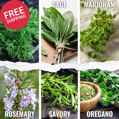 Herb Seeds Variety Pack Culinary Herb Collection (12 Individual Packets for Plan