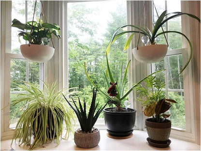 10 Pack Clear Plant Watering Globes,Plastic Self Watering Bulbs for Indoor Plant