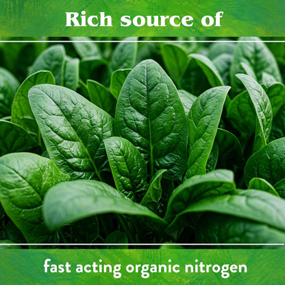 Organic Blood Meal - High Nitrogen Plant Food for Green Growth 12-0-0, 50 Lb