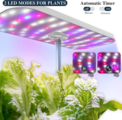 Hydroponics Growing System,  12 Pods Herb Growing Kit with LED Lights up to 19.4" Adjustable Height Automatic Timer Indoor Gardening Herb Faster Growing Planting Kit for Home Kitchen (White)
