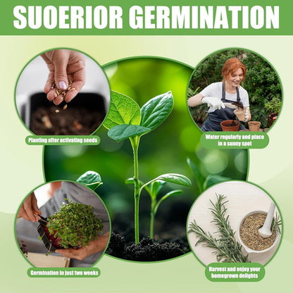 10 Herb Window Garden Kit Indoor - Seeds for & 10 Herb Kit