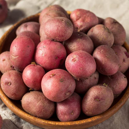 Red Norland Seed Potatoes for Planting (5 Lbs. Bag)